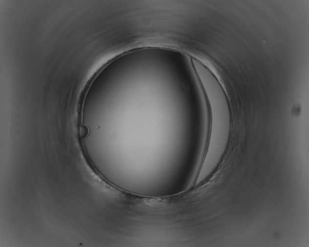 X0000090951147200708241122