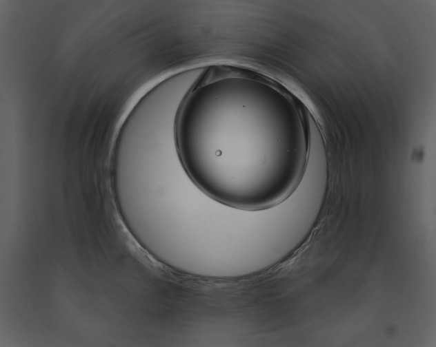 X0000090951148200708241122