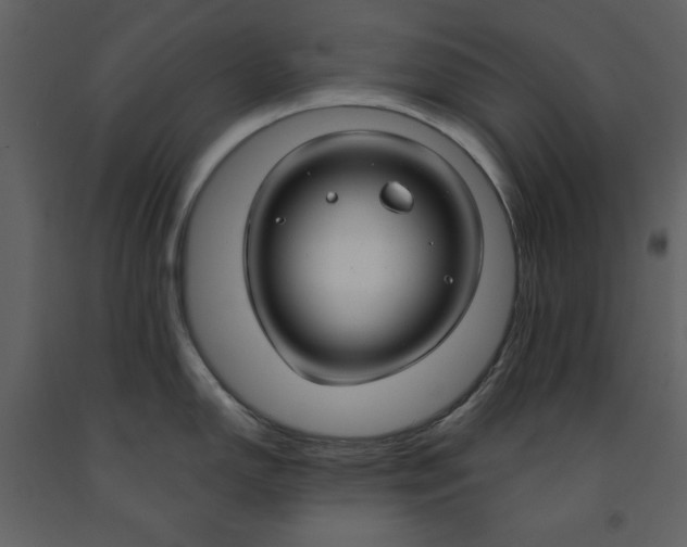 X0000090951150200708241122