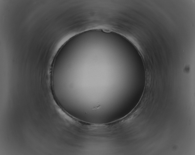 X0000090951151200708241122