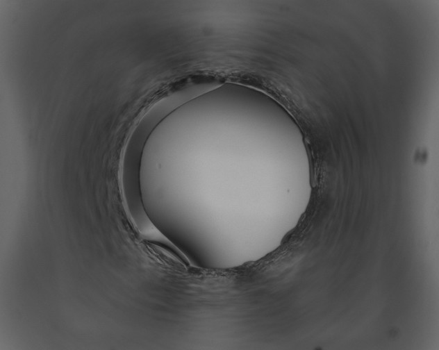 X0000090951153200708241121