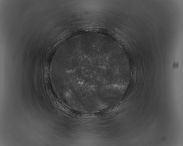 X0000090951154200708241121