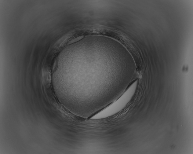 X0000090951155200708241121