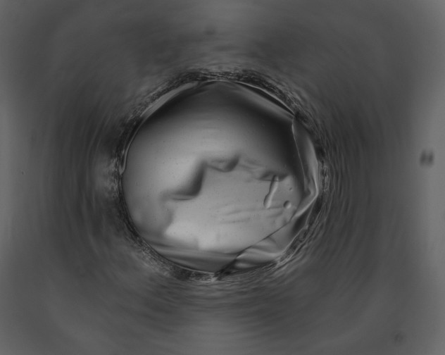 X0000090951156200708241121
