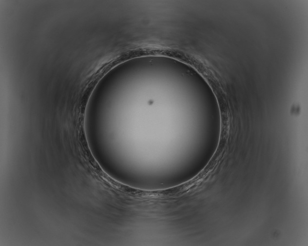 X0000090951157200708241121