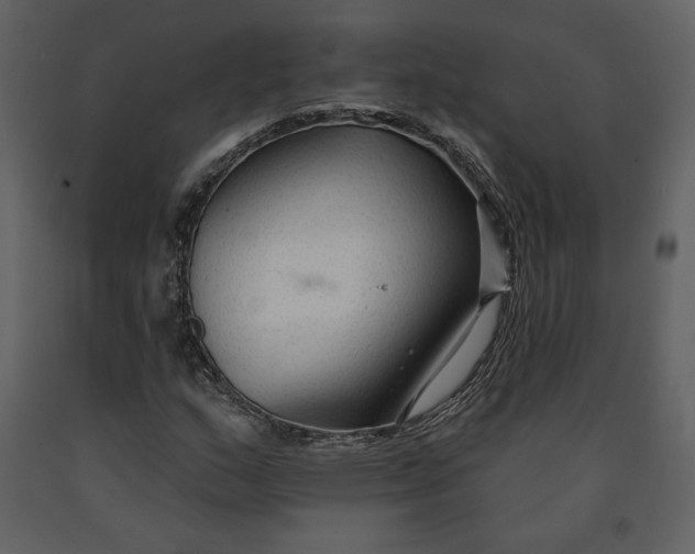 X0000090951159200708241121