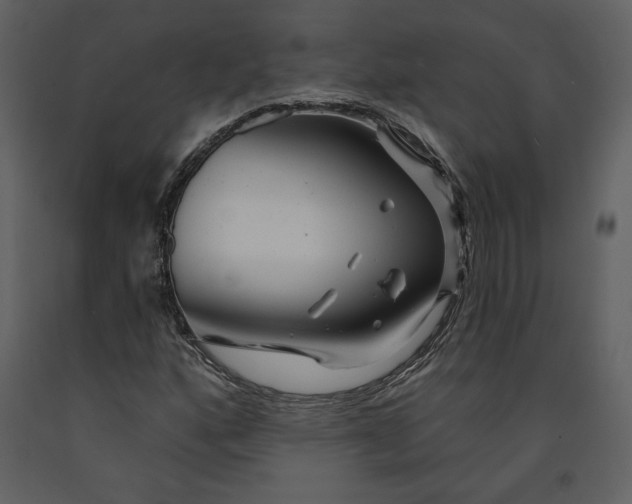 X0000090951160200708241121