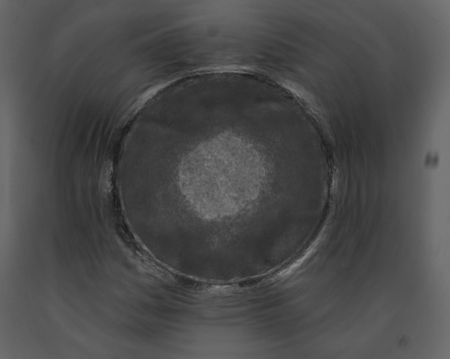 X0000090951161200708241121