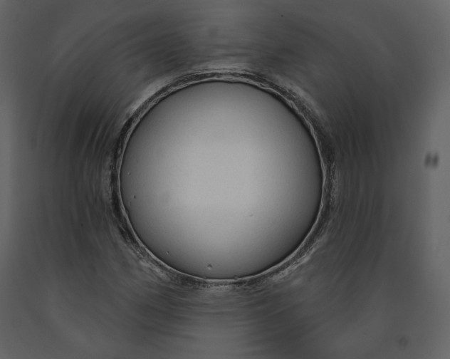 X0000090951162200708241121