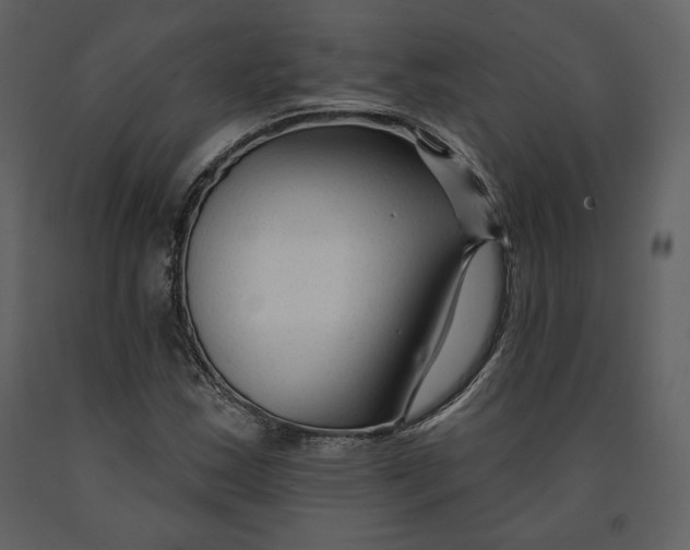 X0000090951163200708241121
