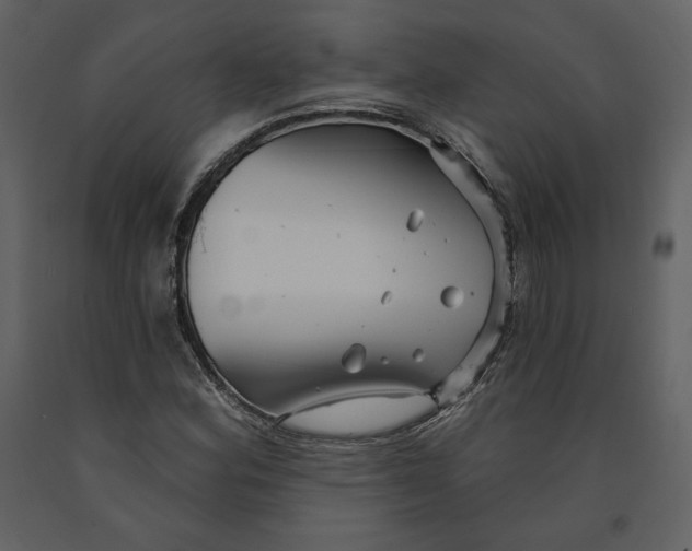 X0000090951164200708241121