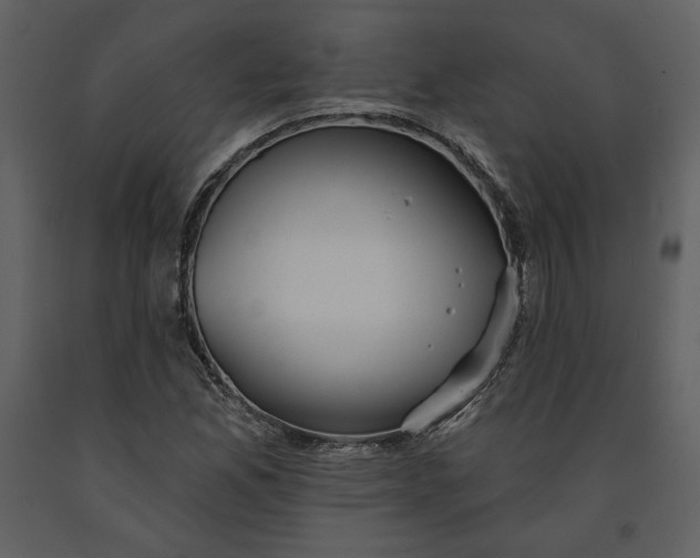 X0000090951165200708241121