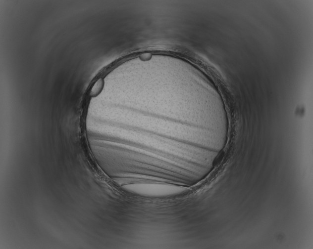 X0000090951166200708241121