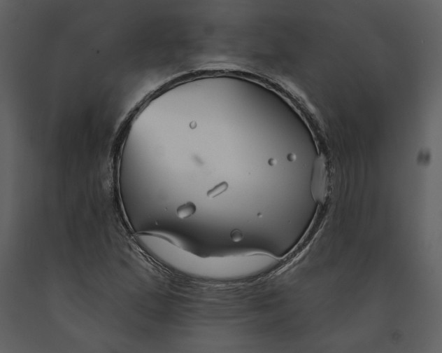 X0000090951167200708241121