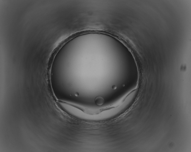 X0000090951168200708241121
