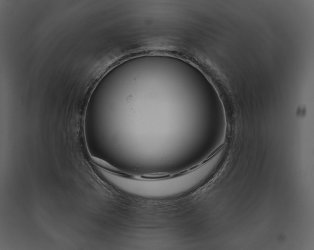X0000090951169200708241121