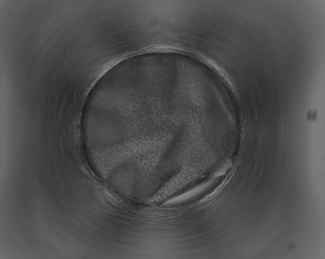 X0000090951170200708241121