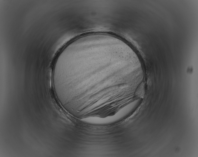 X0000090951171200708241121