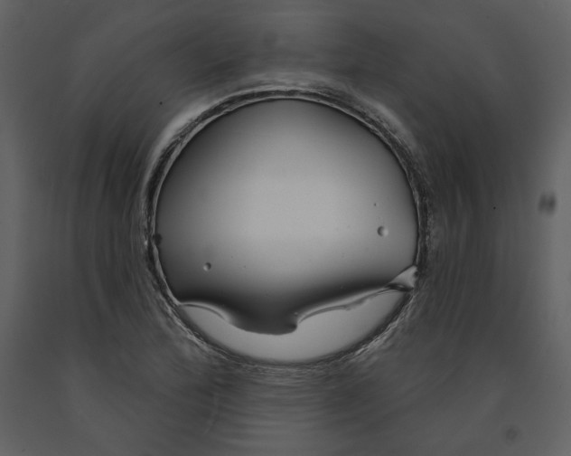 X0000090951172200708241121