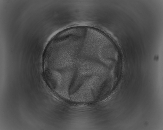 X0000090951174200708241121