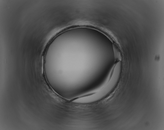 X0000090951175200708241121
