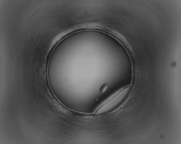 X0000090951176200708241121
