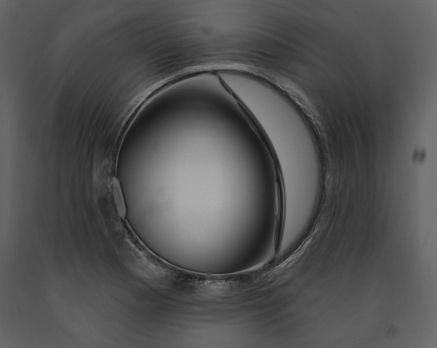 X0000090951177200708241121