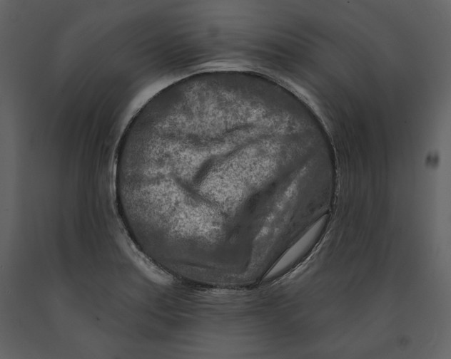 X0000090951179200708241121