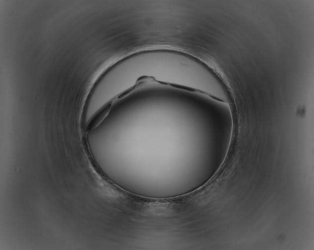X0000090951181200708241121