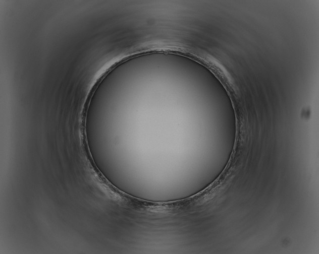 X0000090951182200708241121