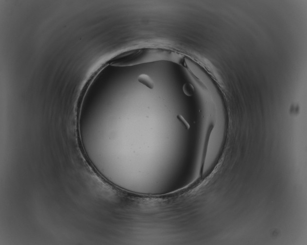 X0000090951184200708241121