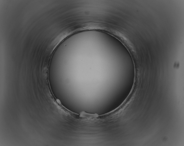 X0000090951185200708241121