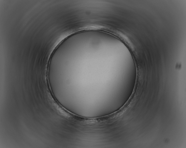 X0000090951186200708241121