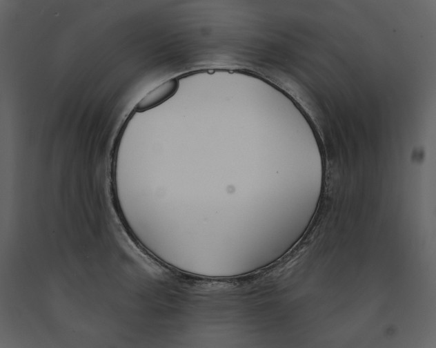X0000090951187200708241121