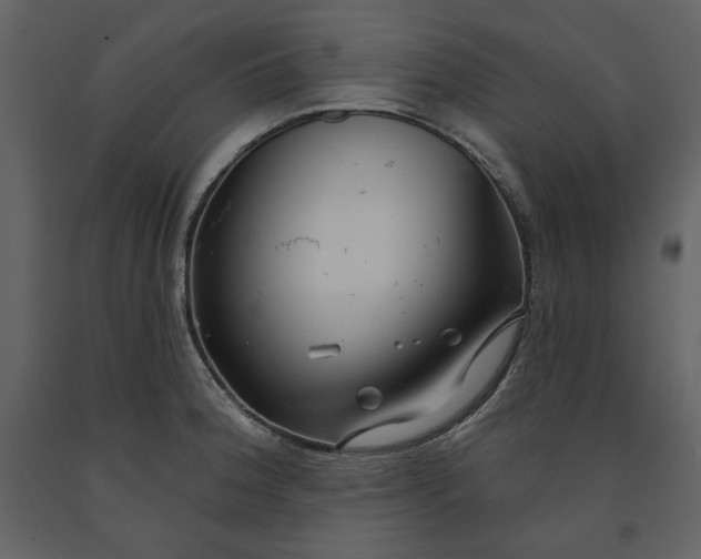 X0000090951188200708241121