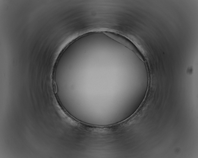 X0000090951189200708241121