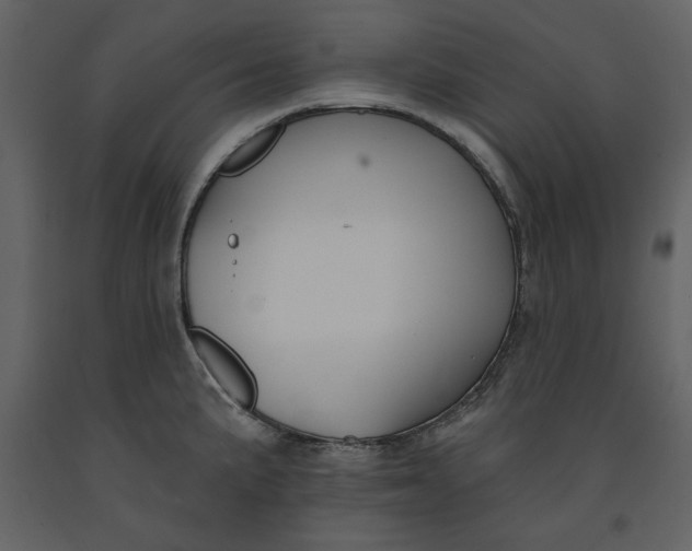 X0000090951191200708241121