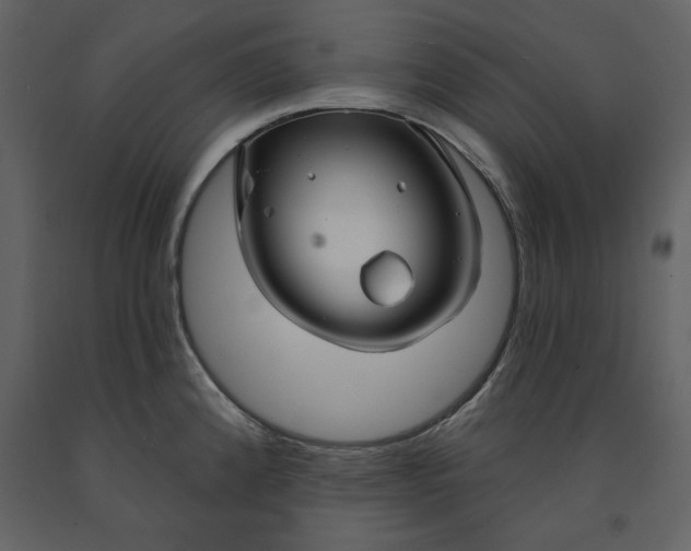 X0000090951192200708241121