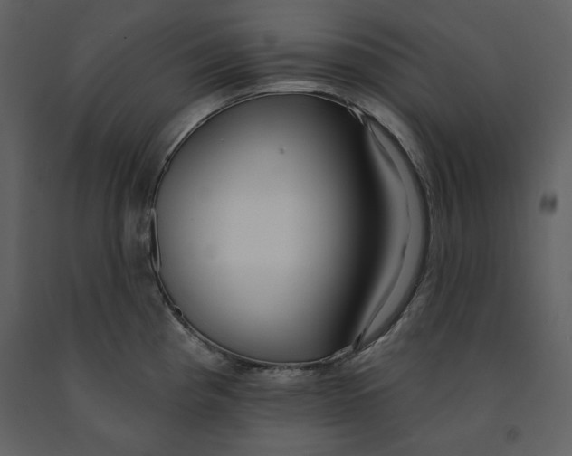 X0000090951193200708241121