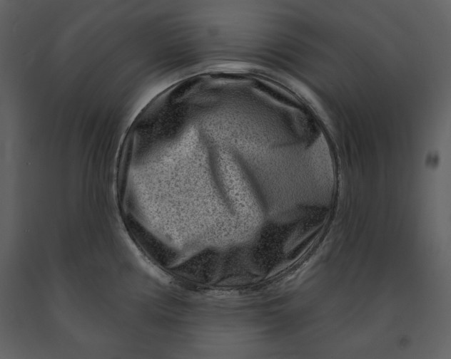 X0000090951194200708241121