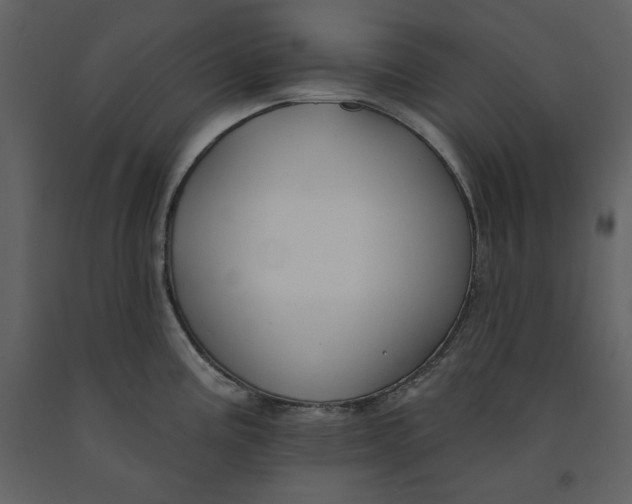 X0000090951195200708241121
