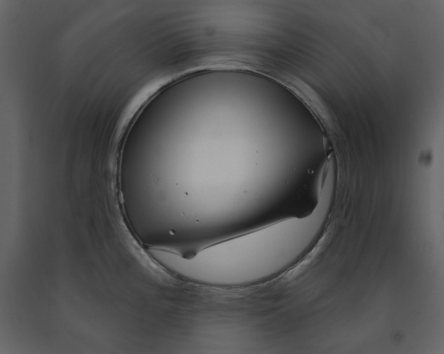X0000090951196200708241121