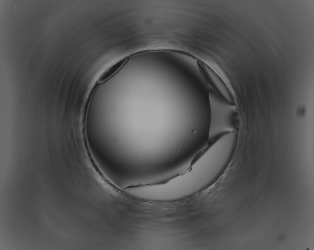 X0000090951197200708241121