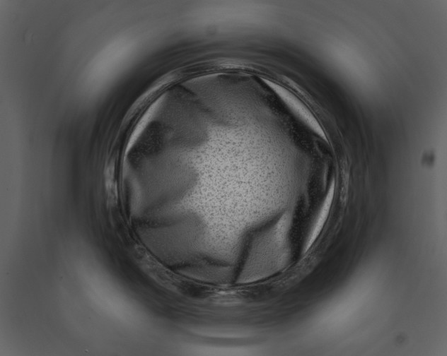 X0000090951198200708241121