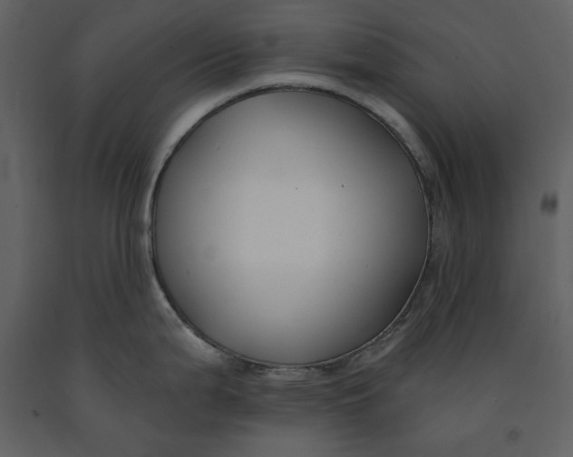 X0000090951199200708241121