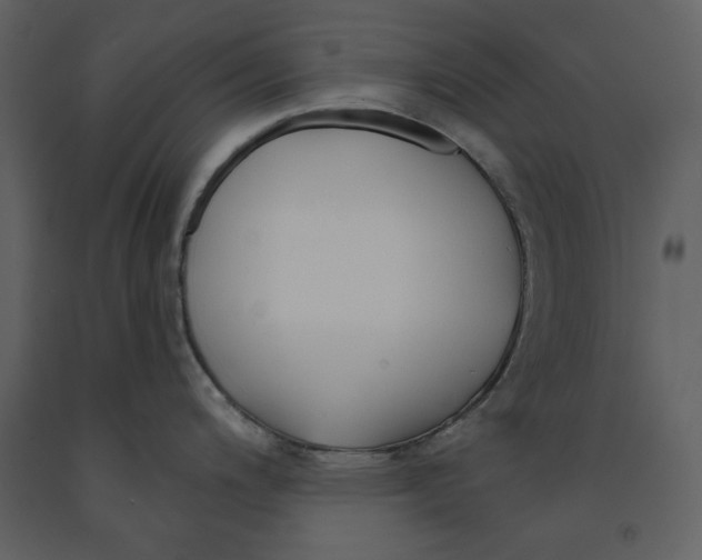 X0000090951200200708241121