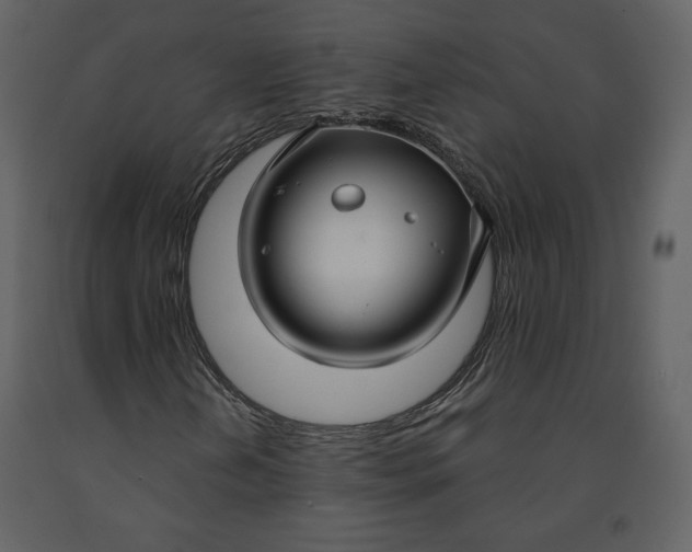 X0000090951202200708241120