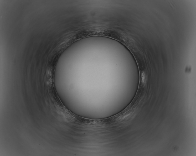 X0000090951203200708241120
