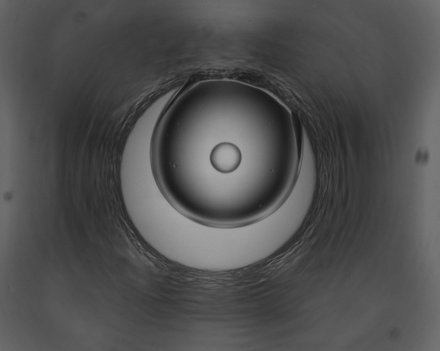 X0000090951204200708241120