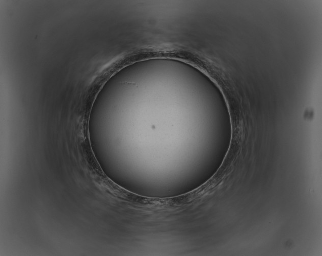 X0000090951205200708241120